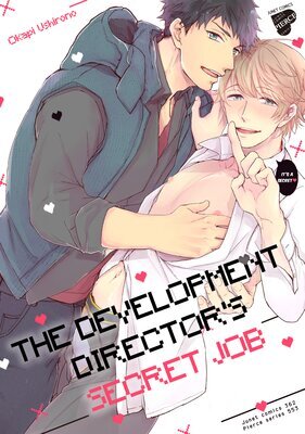 The Development Director's Secret Job