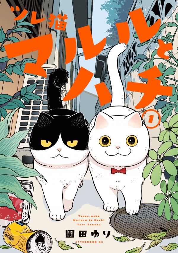 Cat Companions Maruru and Hachi [Official]